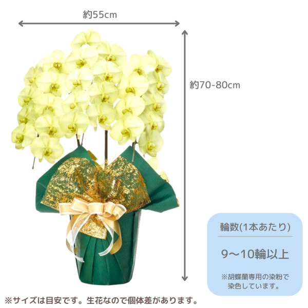 ã եĳ ꡼ 3Ω 2730ذʾ墨Ĥܤߤޤϰ 2