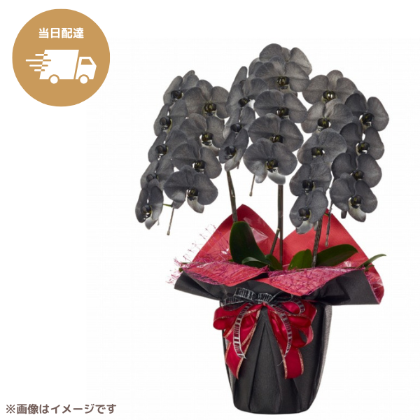 ã եĳ  3Ω 2730ذʾ墨Ĥܤߤޤϰ