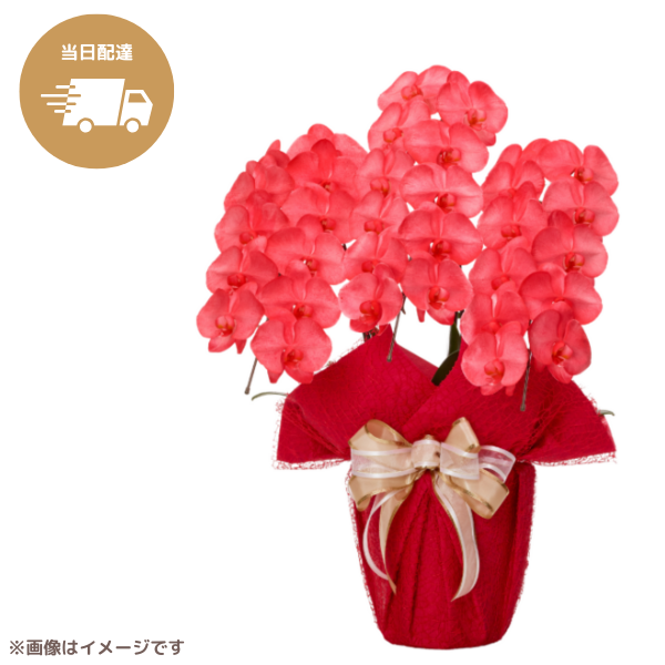 ã եĳ ֿ 3Ω 3336ذʾ墨Ĥܤߤޤϰ