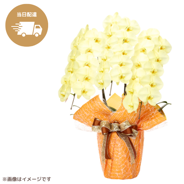 ã եĳ  3Ω 3336ذʾ墨Ĥܤߤޤϰ