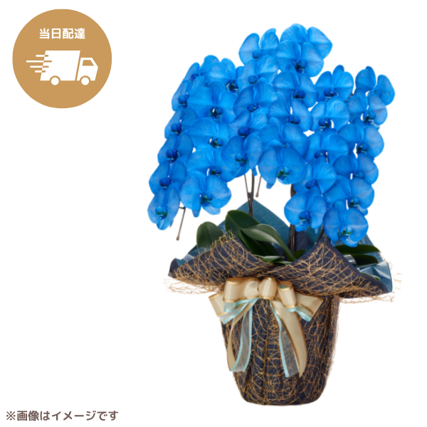 ã եĳ Ŀ 3Ω 3336ذʾ墨Ĥܤߤޤϰ