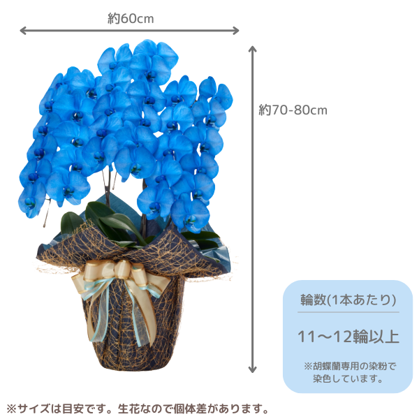 ã եĳ Ŀ 3Ω 3336ذʾ墨Ĥܤߤޤϰ 2