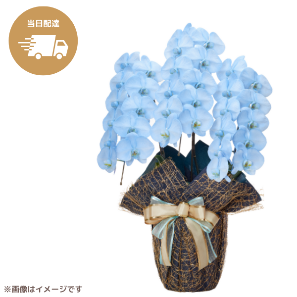 ã եĳ 忧 3Ω 3336ذʾ墨Ĥܤߤޤϰ