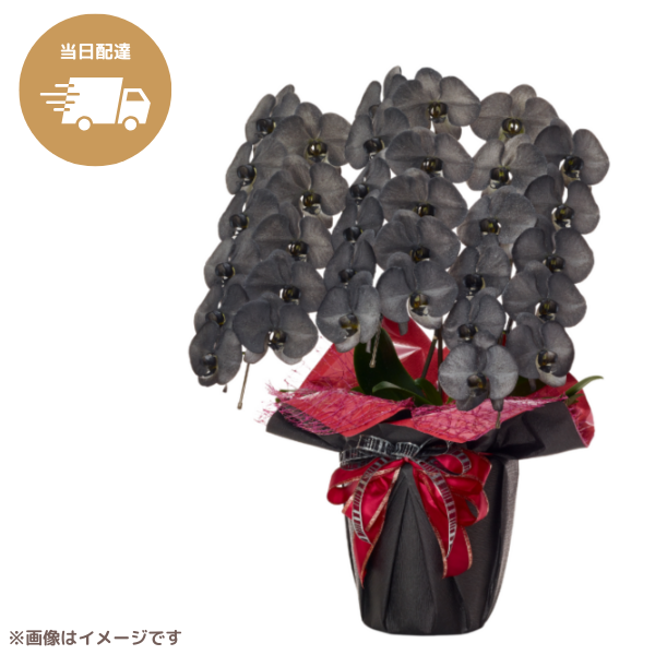 ã եĳ  3Ω 3336ذʾ墨Ĥܤߤޤϰ