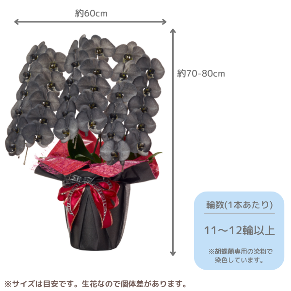 ã եĳ  3Ω 3336ذʾ墨Ĥܤߤޤϰ 2