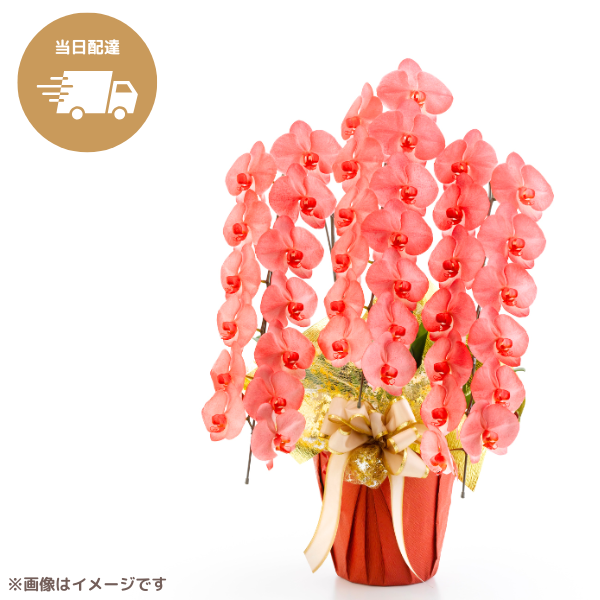 ã եĳ ֿ 3Ω 3942ذʾ墨Ĥܤߤޤϰ