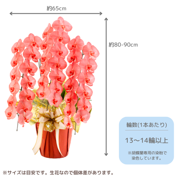 ã եĳ ֿ 3Ω 3942ذʾ墨Ĥܤߤޤϰ 2