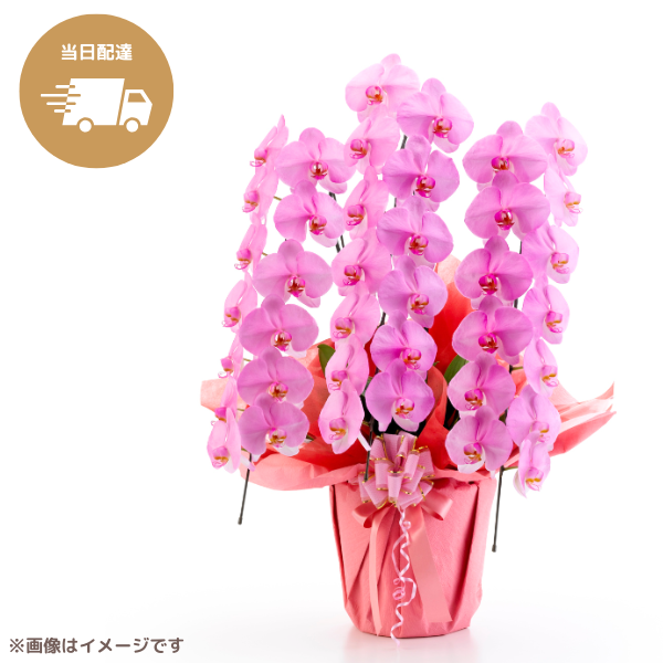 ã եĳ ԥ 3Ω 3942ذʾ墨Ĥܤߤޤϰ