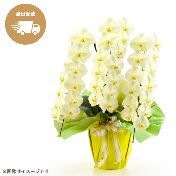 ã եĳ  3Ω 3942ذʾ墨Ĥܤߤޤϰ