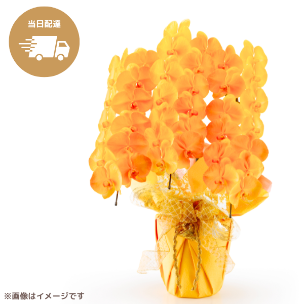 ã եĳ  3Ω 3942ذʾ墨Ĥܤߤޤϰ