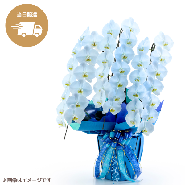 ã եĳ 忧 3Ω 3942ذʾ墨Ĥܤߤޤϰ