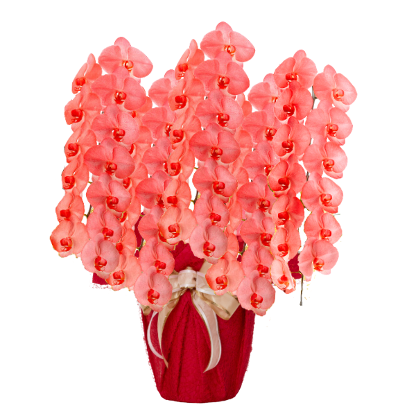 եĳ ֿ 5Ω 6570ذʾ(ΤƤȭ)