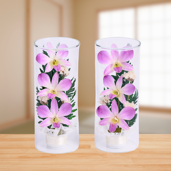 ڤѡۥ饹ե(ɥ饤ե) 2ĥå