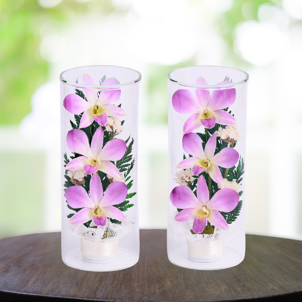 ڤѡۥ饹ե(ɥ饤ե) 2ĥå 2