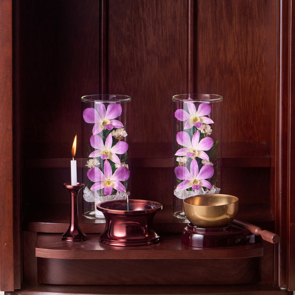 ڤѡۥ饹ե(ɥ饤ե) 2ĥå 3