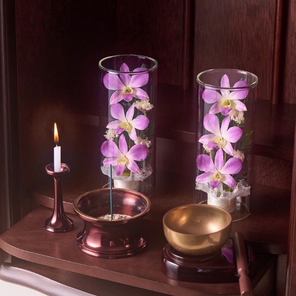 ڤѡۥ饹ե(ɥ饤ե) 2ĥå 5