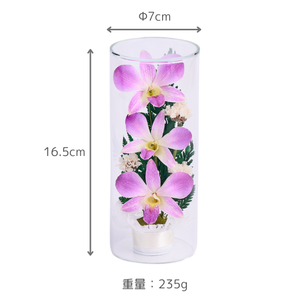 ڤѡۥ饹ե(ɥ饤ե) 2ĥå 6