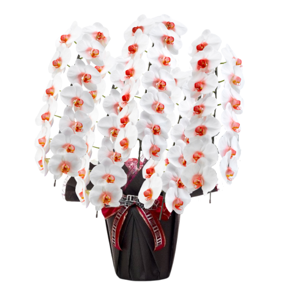 եĳ (å) 5Ω 6570ذʾ(ΤƤȭ)