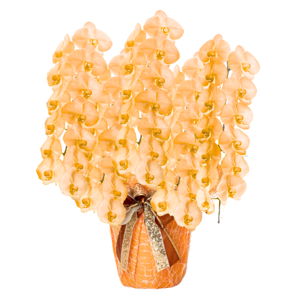 եĳ  5Ω 6570ذʾ(ΤƤȭ)