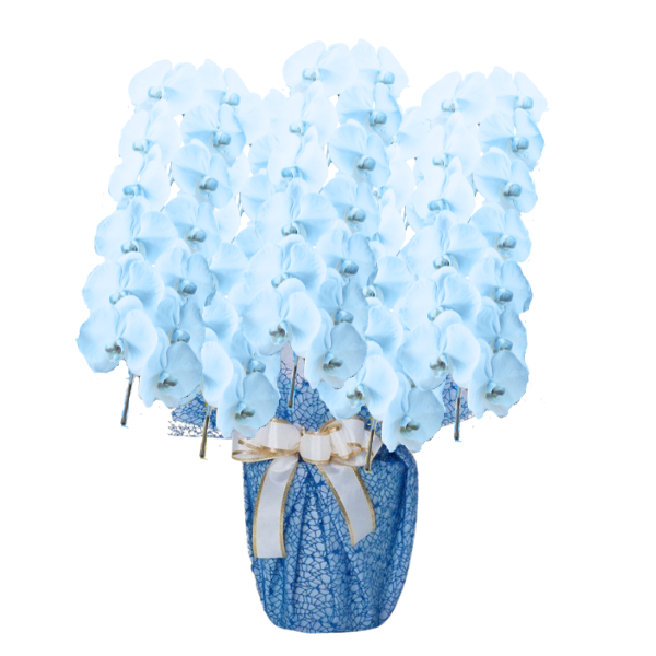 եĳ 鿧 5Ω 6570ذʾ(ΤƤȭ)