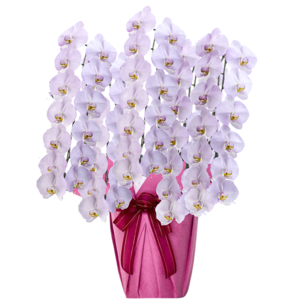 եĳ ߤ쿧 5Ω 6570ذʾ(ΤƤȭ)