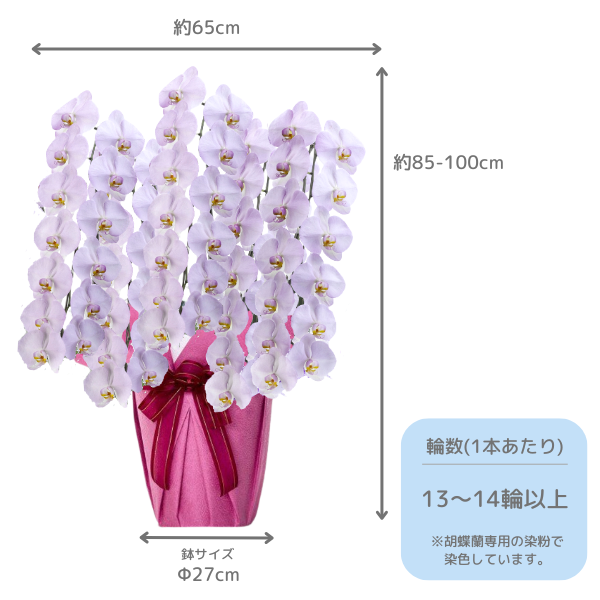 եĳ ߤ쿧 5Ω 6570ذʾ(ΤƤȭ) 2