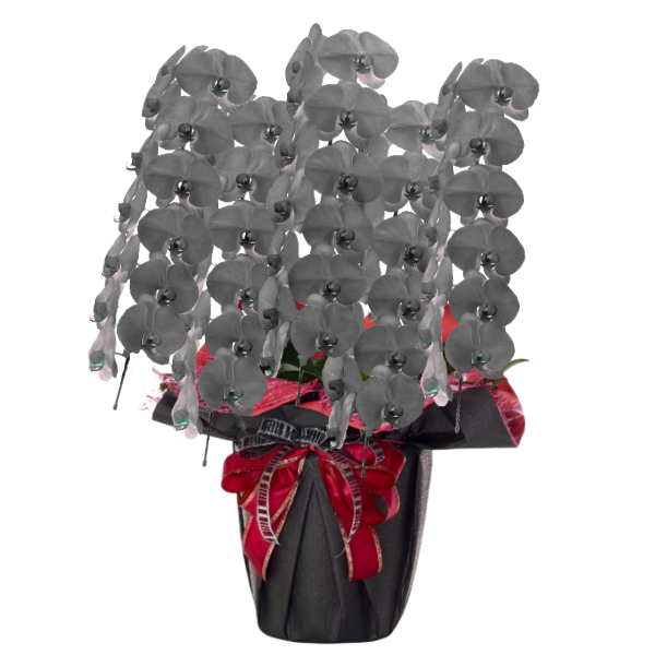 եĳ  5Ω 6570ذʾ(ΤƤȭ)