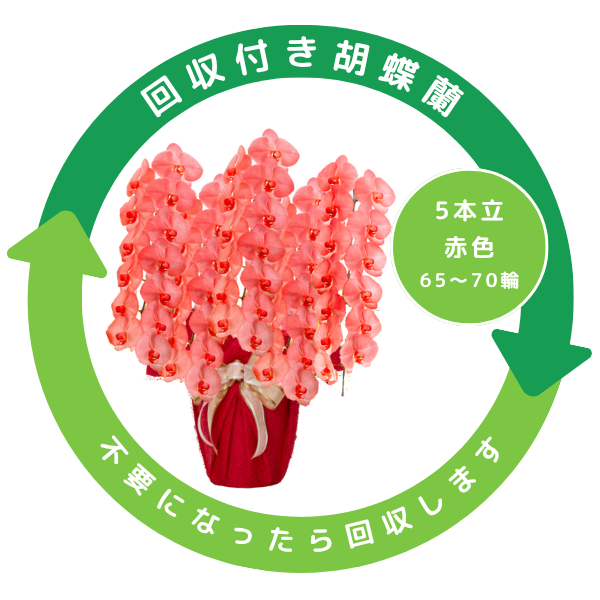 դեĳ ֿ 5Ω 6570ذʾ