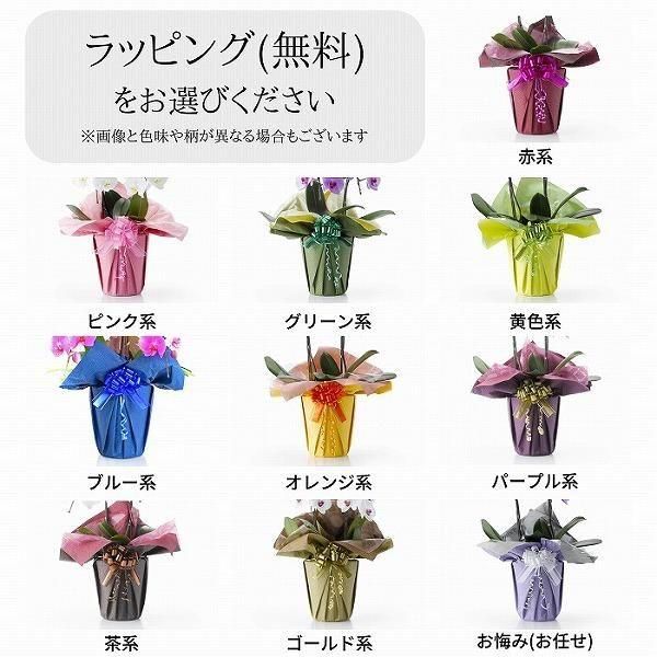 դեĳ ֿ 5Ω 6570ذʾ 7