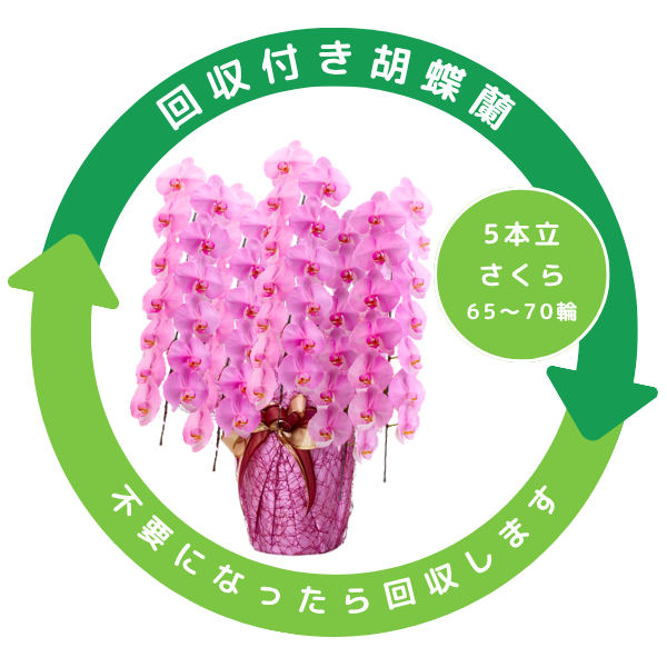 դեĳ  5Ω 6570ذʾ