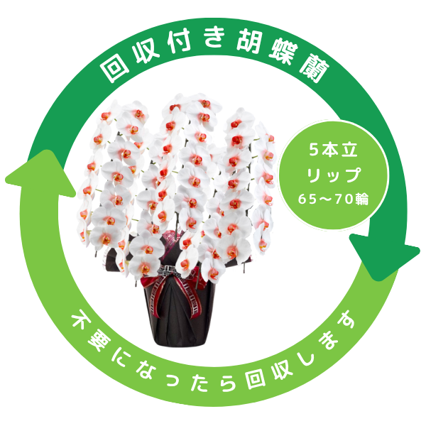 դեĳ (å) 5Ω 6570ذʾ