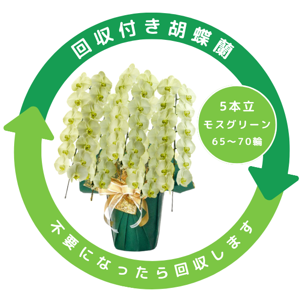 դեĳ ⥹꡼ 5Ω 6570ذʾ