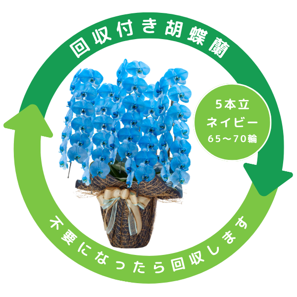 դեĳ ͥӡ 5Ω 6570ذʾ