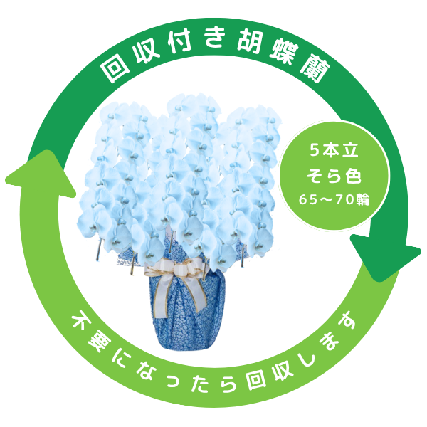 դեĳ 鿧 5Ω 6570ذʾ