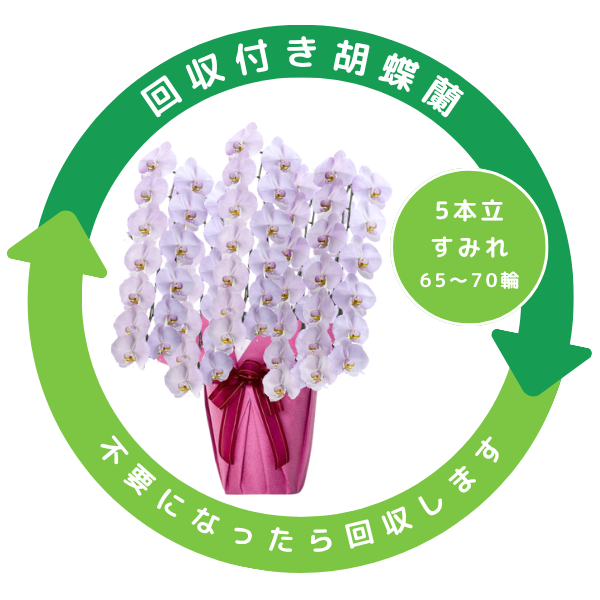 դեĳ ߤ쿧 5Ω 6570ذʾ