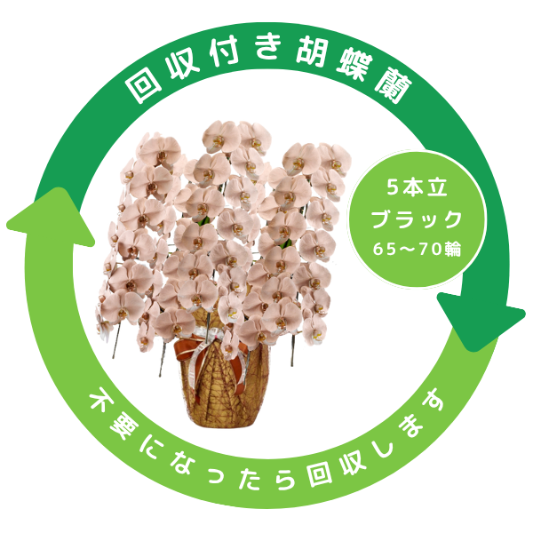 դեĳ ֥ 5Ω 6570ذʾ