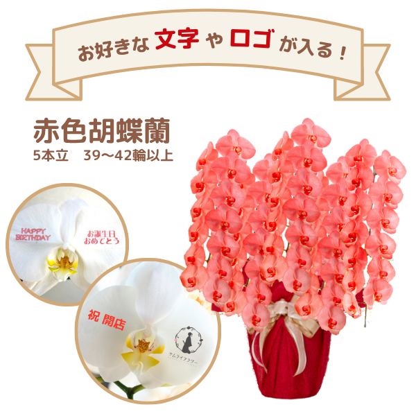 å եĳ 5Ω ֿ 6570ذʾ(ΤƤȭ)