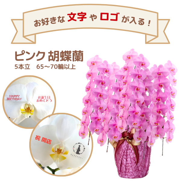 å եĳ 5Ω  6570ذʾ(ΤƤȭ)