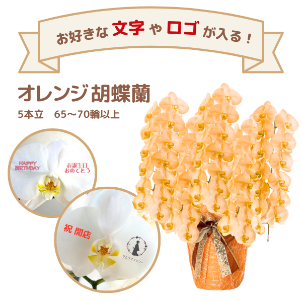 å եĳ 5Ω  6570ذʾ(ΤƤȭ)