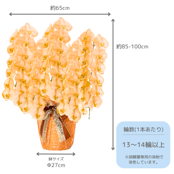 å եĳ 5Ω  6570ذʾ(ΤƤȭ) 2