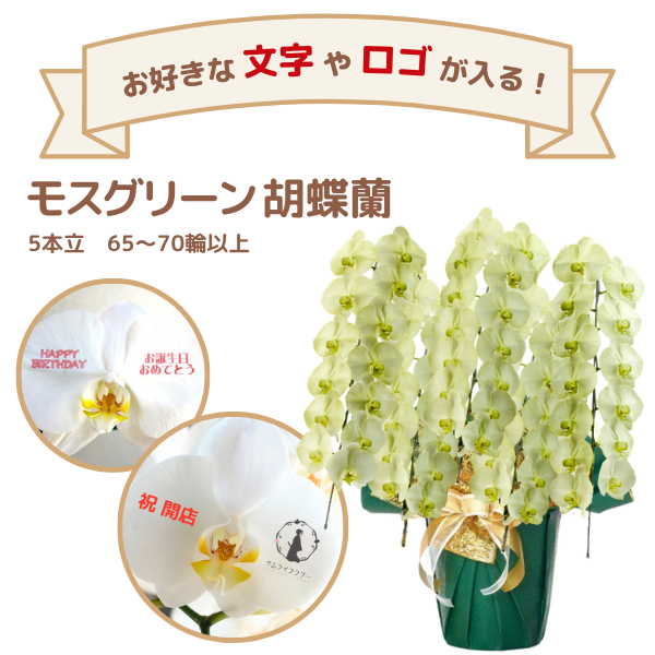 å եĳ 5Ω ⥹꡼ 6570ذʾ(ΤƤȭ)