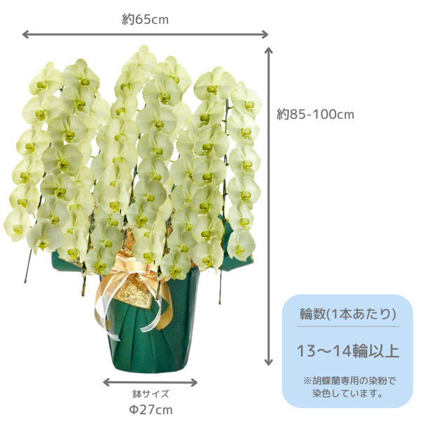 å եĳ 5Ω ⥹꡼ 6570ذʾ(ΤƤȭ) 2