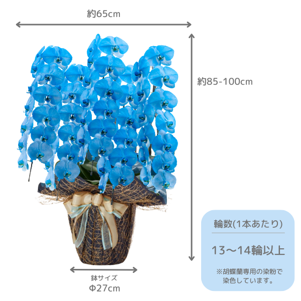 å եĳ 5Ω ͥӡ 6570ذʾ(ΤƤȭ) 16