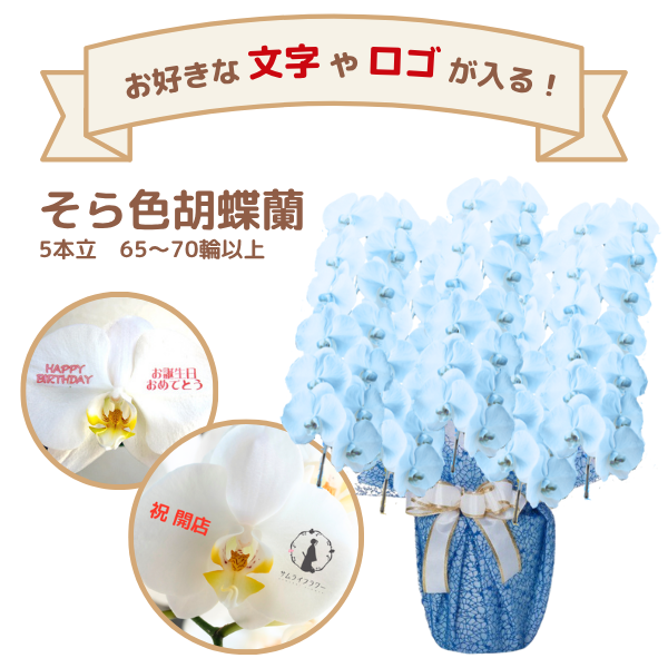 å եĳ 5Ω 鿧 6570ذʾ(ΤƤȭ)