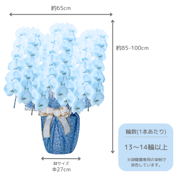 å եĳ 5Ω 鿧 6570ذʾ(ΤƤȭ) 2