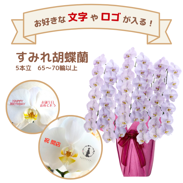 å եĳ 5Ω ߤ 6570ذʾ(ΤƤȭ)