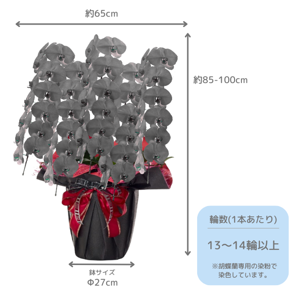 å եĳ 5Ω  6570ذʾ(ΤƤȭ) 2