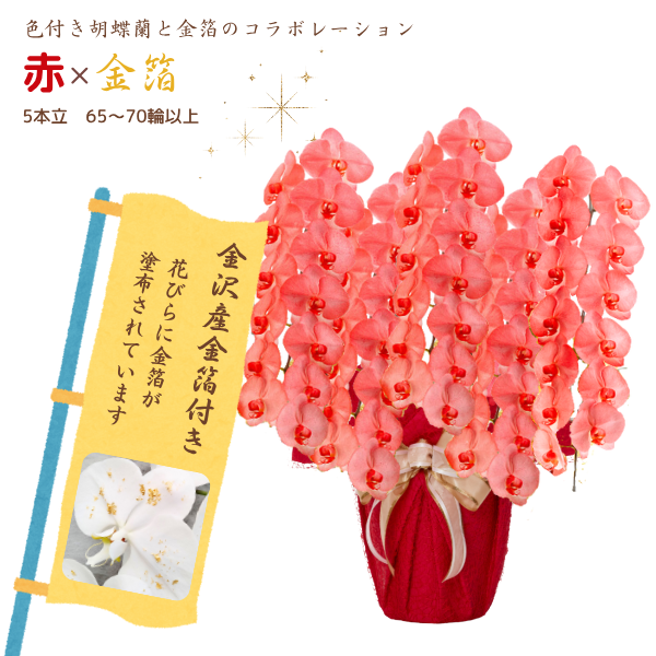 եĳ ֿ 5Ω 6570ذʾ墨դ