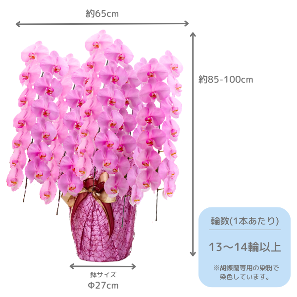 եĳ  5Ω 6570ذʾ墨դ 2