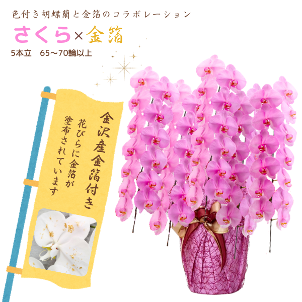 եĳ  5Ω 6570ذʾ墨դ